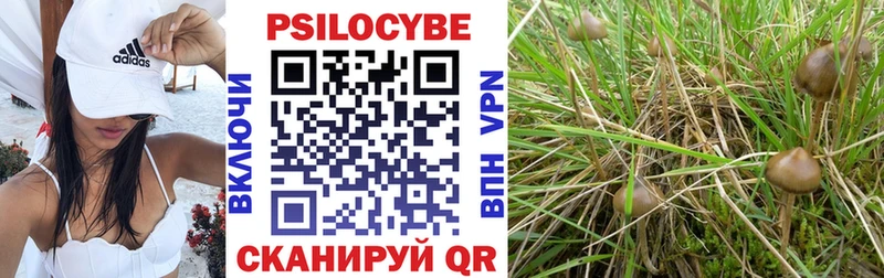 Галлюциногенные грибы ЛСД  Дигора 